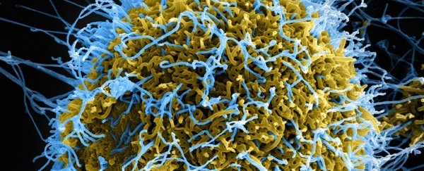 Here's the terrifying reason the US just approved a drug for an eradicated disease