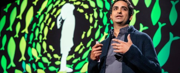 You're wrong about evolution: this 6-minute video explains how it really works