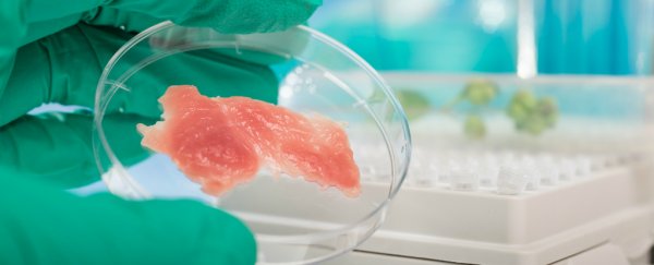 The meat industry is asking Trump to intervene over lab-grown meat products