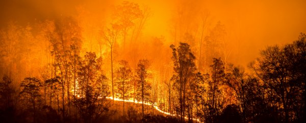 Fighting wildfires has nearly destroyed the US Forest Service's budget