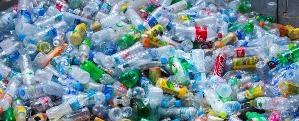 Banning plastic doesn't always work. Here's what we should do instead