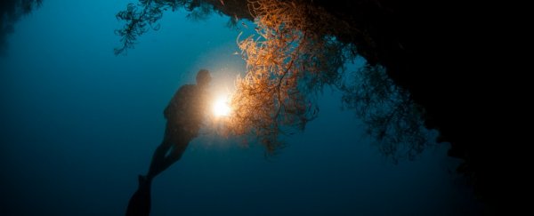 8 boys are now rescued from the Thai cave. Here's what it's like for the divers