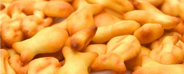 America's second-most-favourite crackers recalled over salmonella fears