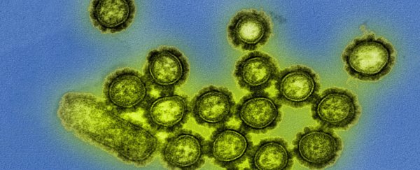 More deadly viral outbreaks are occurring worldwide. Here's the ugly reason why
