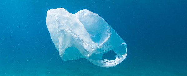 We're drowning our world in plastic - here's some tips for cleaning up
