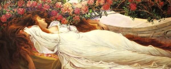 Scientists are finally figuring out why we dream, and it's probably exactly what you'd think