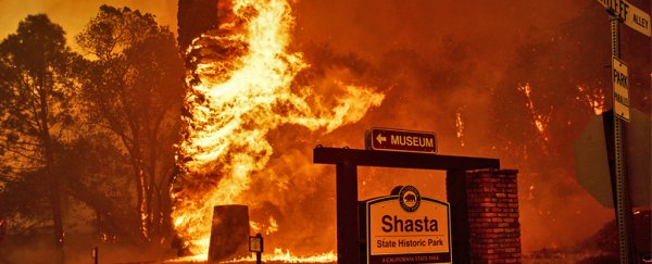 Here's why wildfires in the US are getting wilder, bigger, and out of control