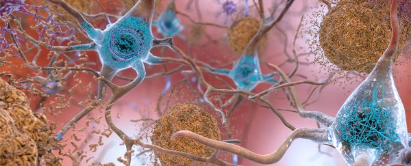 We now have even more evidence that herpes could trigger Alzheimer's disease
