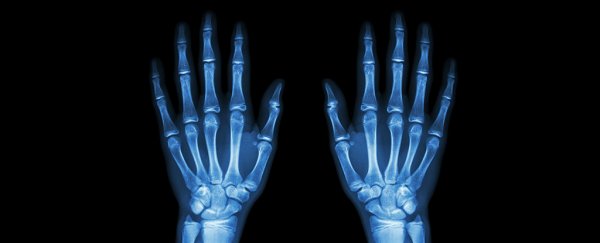 Our love of a food found inside bones helped evolve human hands