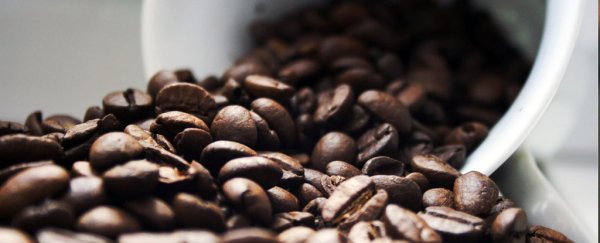 Even just the smell of coffee could actually perk up your brain, study shows