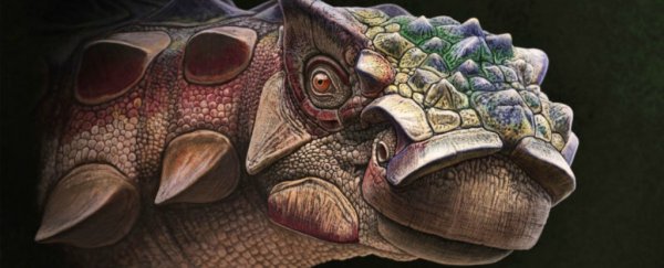 This armored dinosaur with a spiky head just changed what we know about their migration