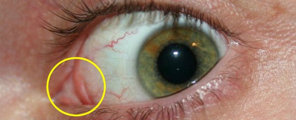 They might seem useless, but these 8 body parts actually have surprisingly cool functions