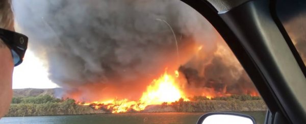 A rare and epic 'firenado' was caught on video over the weekend. Here's how they form
