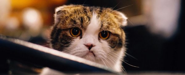 Being in a bad mood could actually make you more productive