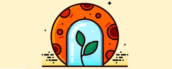 Space 101: Here's how hard it's going to be to grow food on Mars