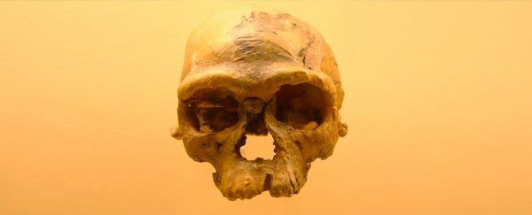 The story of human origins in Africa is changing in a way we never expected