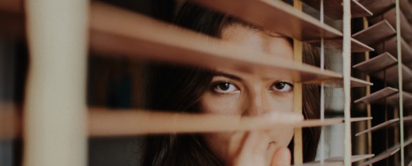 A Harvard psychologist explains why your brain never runs out of problems to find