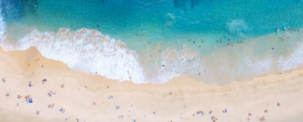White tropical beaches like Hawaii actually harbour a dirty secret in the sand