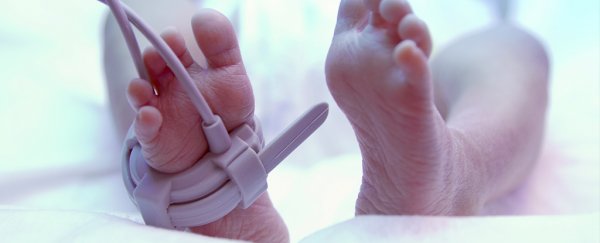 A generic Viagra experiment has been linked to the tragic deaths of 11 babies