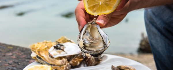 A flesh-eating bacterial infection killed a man in Florida because he ate oysters