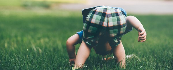 Our toddler memories may not be permanently lost, mouse study shows