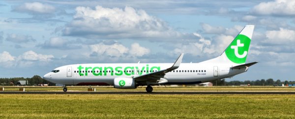 The tragic story of how flesh-eating bacteria forced an emergency plane landing