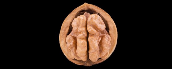 Children with autism have brains that fold differently to everybody else's