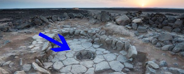 Scientists have discovered the earliest evidence of bread, and it's much older than we expected