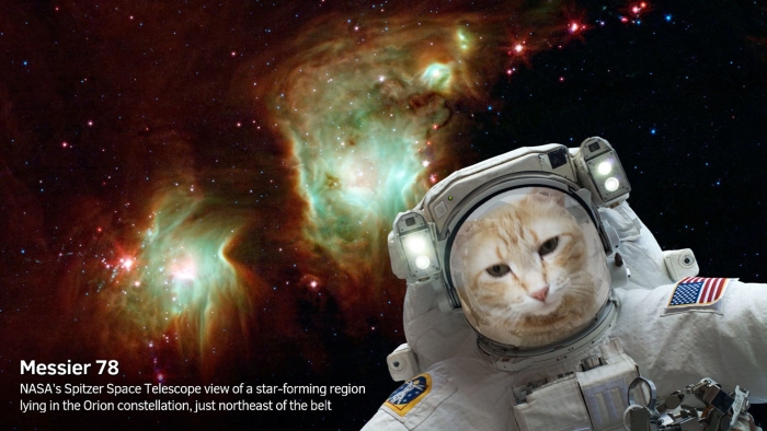 NASA selfies app cat messier 700