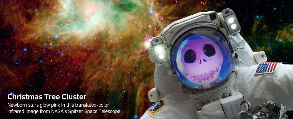 NASA selfies app jack skellington 1024 1024