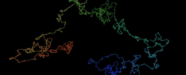 The movement of chromosomes has just been mapped, and it's absolutely mesmerising