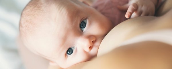 Marijuana traces pass into breast milk and linger for days, study shows