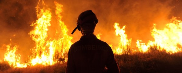 Humans are about to unleash an irreversible "Hothouse Earth", scientists warn