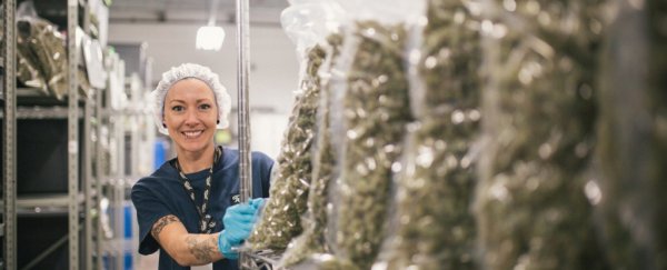 Here are the American countries with the most progressive drug policies
