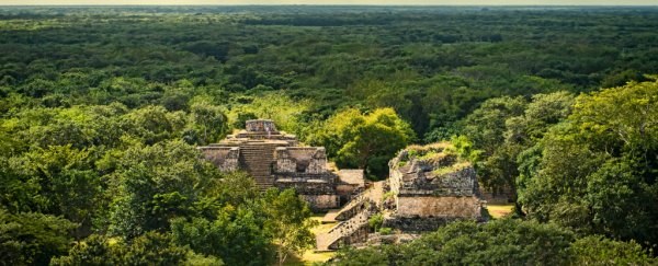 Ancient Maya landscape never recovered from deforestation thousands of years ago