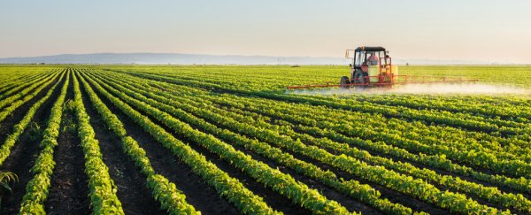 Does Monsanto's Roundup cause cancer? The answer is not so simple