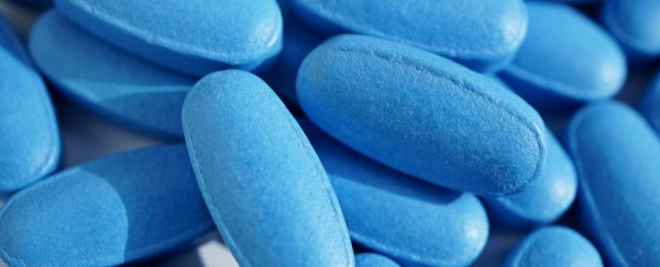 Here's why scientists are giving generic Viagra to pregnant women