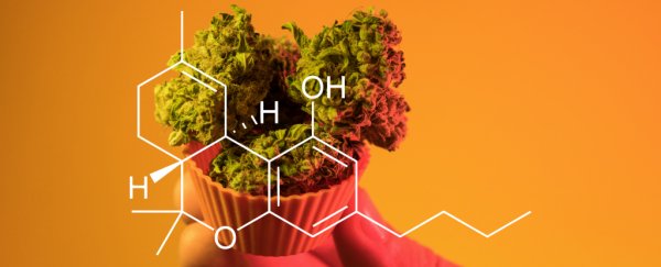 People who use marijuana for gut inflammation might actually be on to something