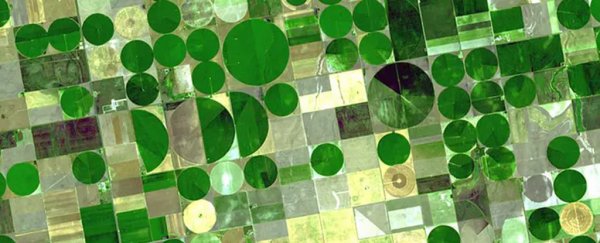 US farmers are draining one of the world's largest aquifers faster than it's naturally replenished