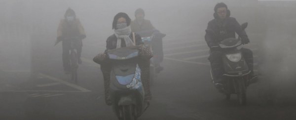 Air pollution actually makes us dumber over time, says new study