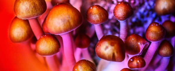 Here's why psychedelic drugs like LSD are so exciting for modern medicine