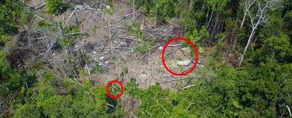 First-ever images of a hidden Amazonian tribe have been captured by drone