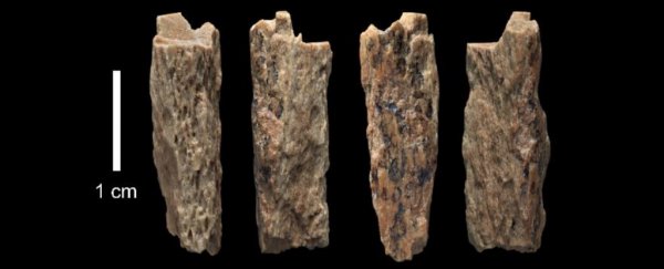This ancient teenager had parents from two different species