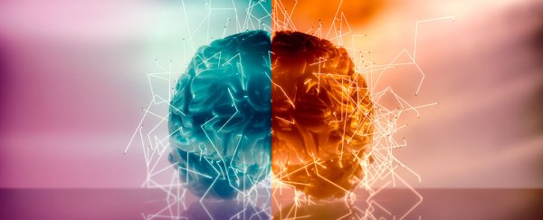 These crucial brain functions are not affected by gender or sex, study reveals