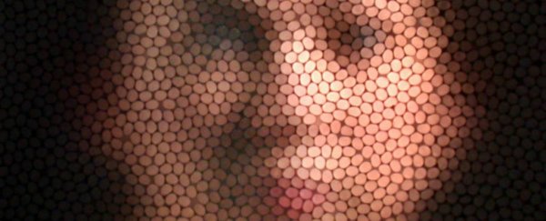 Researchers discover the tiny brains of bees and wasps can recognise faces