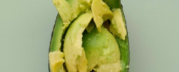Researchers are offering people $300 to eat avocados every day