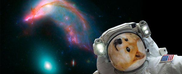 NASA has released a selfie app so you can pretend you're an astronaut