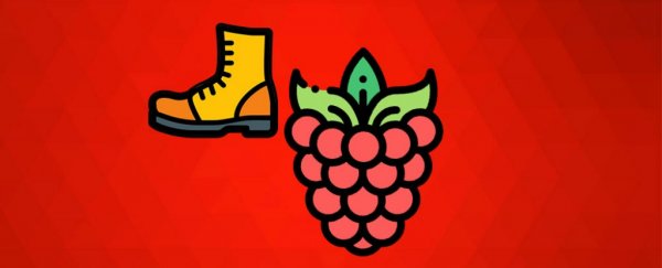 ScienceAlert Deal: Master Raspberry Pi Electronics for a fraction of the price