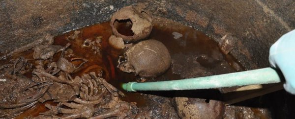 Archaeologists have removed and analysed the black Egyptian sarcophagus contents