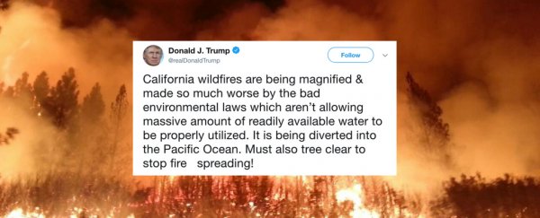 Image result for Trump California fire tweet